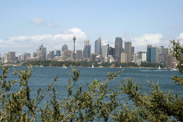 Fototapeta premium sydney city landscape