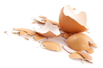 chips of the crushed egg shell-
