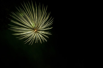 Fototapeta premium fireworks