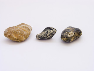 fresh rocks