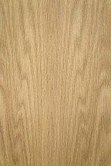 Naklejka premium oak background