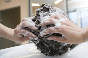 hairdresser washing hair.