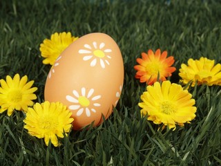 osterei und bl&uuml;ten