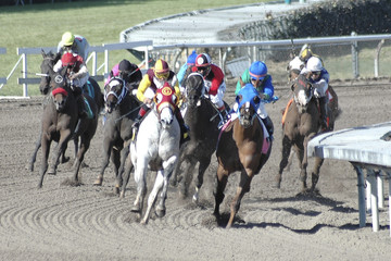 racehorses in the turn 2