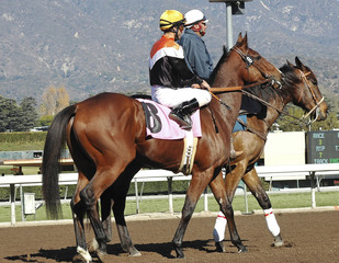 racehorse & outrider 5
