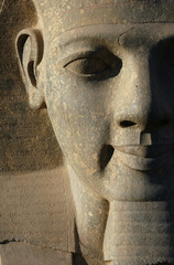 pharaoh ramses ii