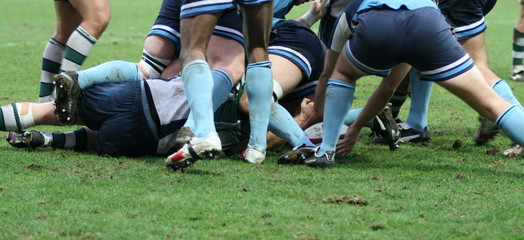 rugby