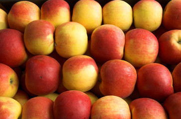 a lot of apples