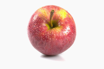 red apple stalk