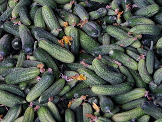 cornichons