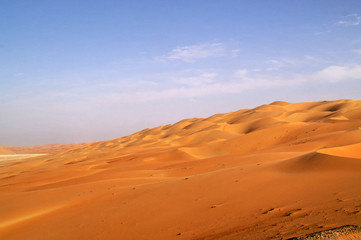 Fototapeta na wymiar liwa desert 13