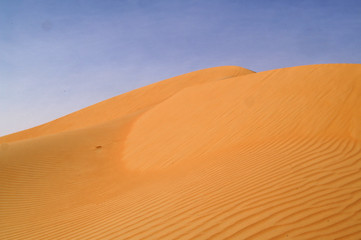 liwa desert 2