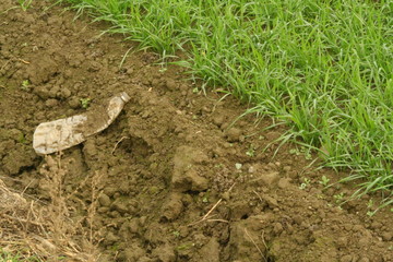 agricoltura sporca