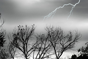 stock image of silver storm