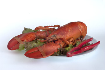 lobster dinner