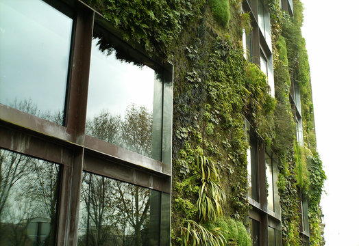 foto casa con giardino sul muro