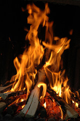 feu de bois 2