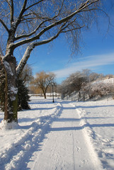 snowy winter landscape