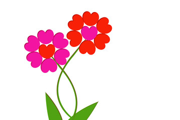 fleurs de saint valentin