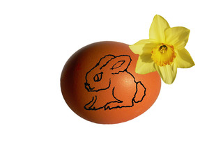 osterei mit hase und blume