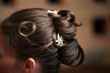 chignon