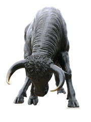 taureau