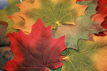 herbst