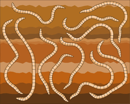 worms