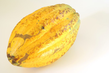 cacao