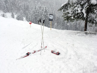 ski