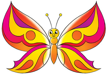 butterfly