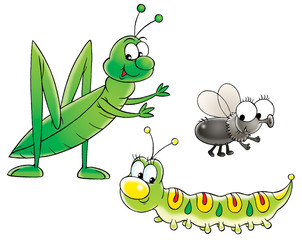 grasshopper, caterpillar and fly