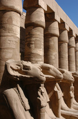 ram-headed sphinxes