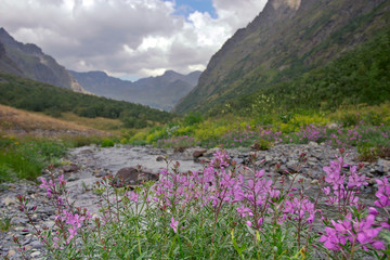 Fototapeta premium at sources of the river 2