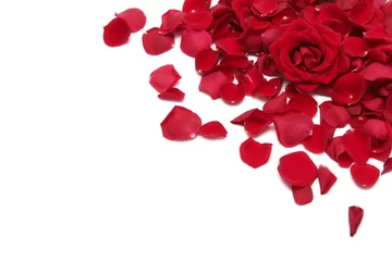 rote Rosen © Hallgerd