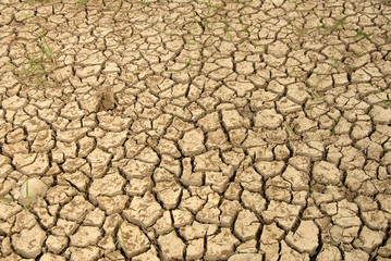 drought