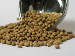 roasted soybean