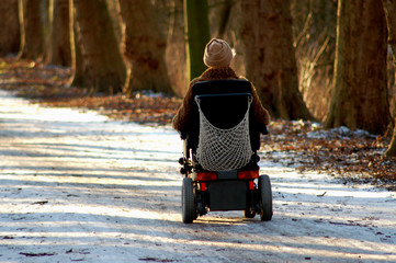 elektrischer rollstuhl