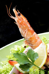 gamba