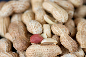 cacahuètes 3