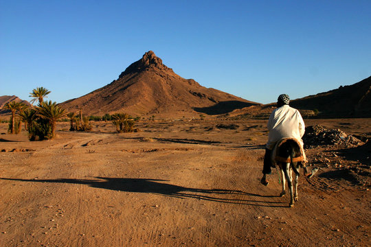 a dos d'ane-zagora-maroc