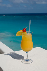 exotic drink 2