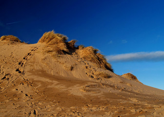 scotland. balmedie country park.