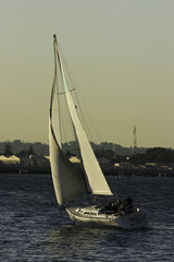 Obraz premium sailboat 2