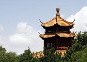 Obraz na płótnie Canvas Chińczyk na dachu
