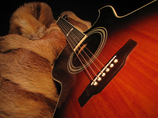 guitar and a fur coat