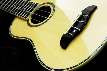 acoustic guitar ukelele