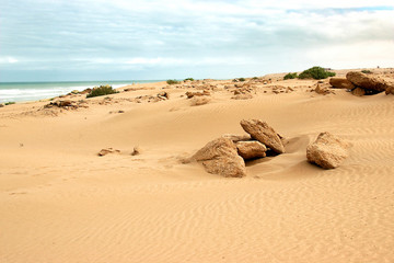 Fototapeta na wymiar plage africaine