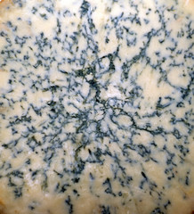 stilton