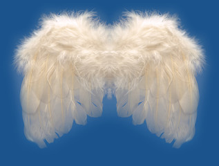 angels wing